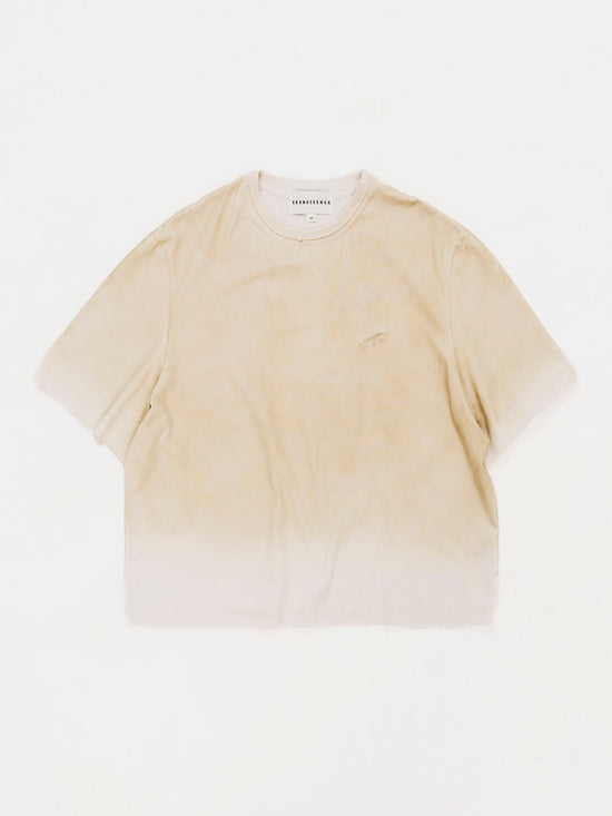 DIRTY WASHED CROPPED TEE DUST